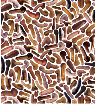 Illustration for article titled Wearing These Penis Leggings Will Turn You Into a Total Dick